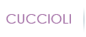 Cuccioli