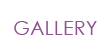 Galleria