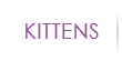 Kittens